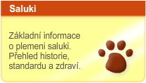 Saluki - Základní informace o plemeni saluki. Přehled historie, standardu a zdraví.