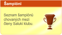 Šampióni - Seznam šampiónů chovaných mezi členy Saluki klubu.